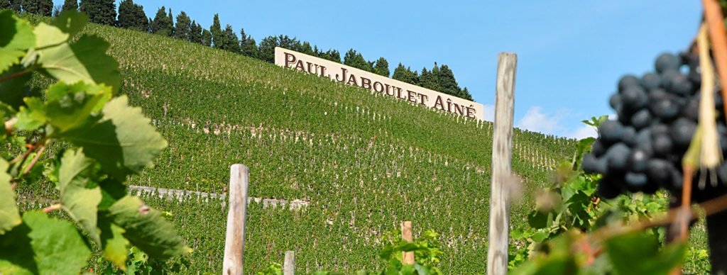 Paul-Jaboulet-Vignes