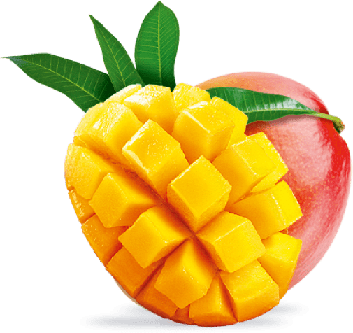 mangue